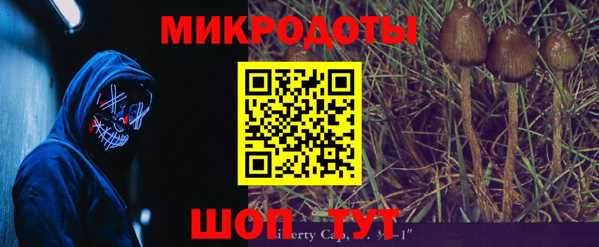 Пятигорск  Галлюциногенные грибы прущие грибы  Вход с VPN  как найти   Галлюциногенные грибы Cubensis 